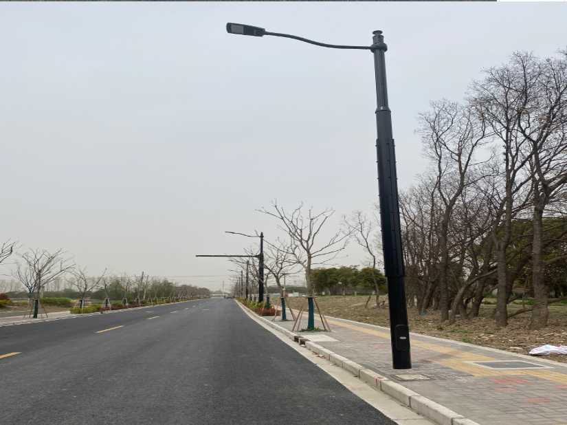 柳江区上海综合杆 太阳能路灯工程